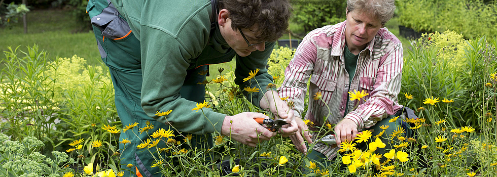Foto: zwei Menschen beim Blumen Schneiden auf einer Wiese